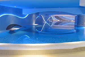 Homa Hotel’s Amenities